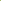 Allium vineale 'Hair'