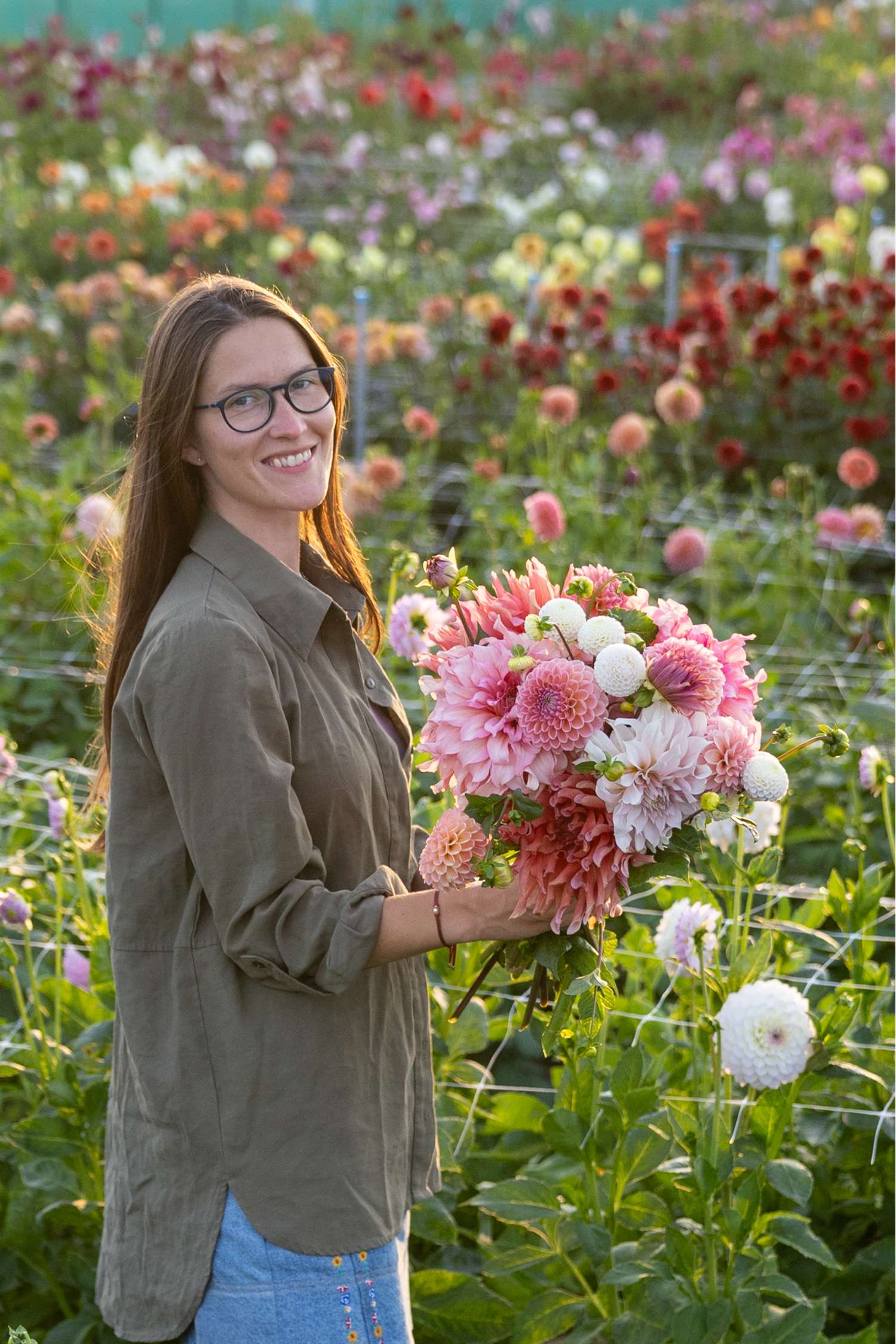 Collection dahlia 'Watermelon Shake'