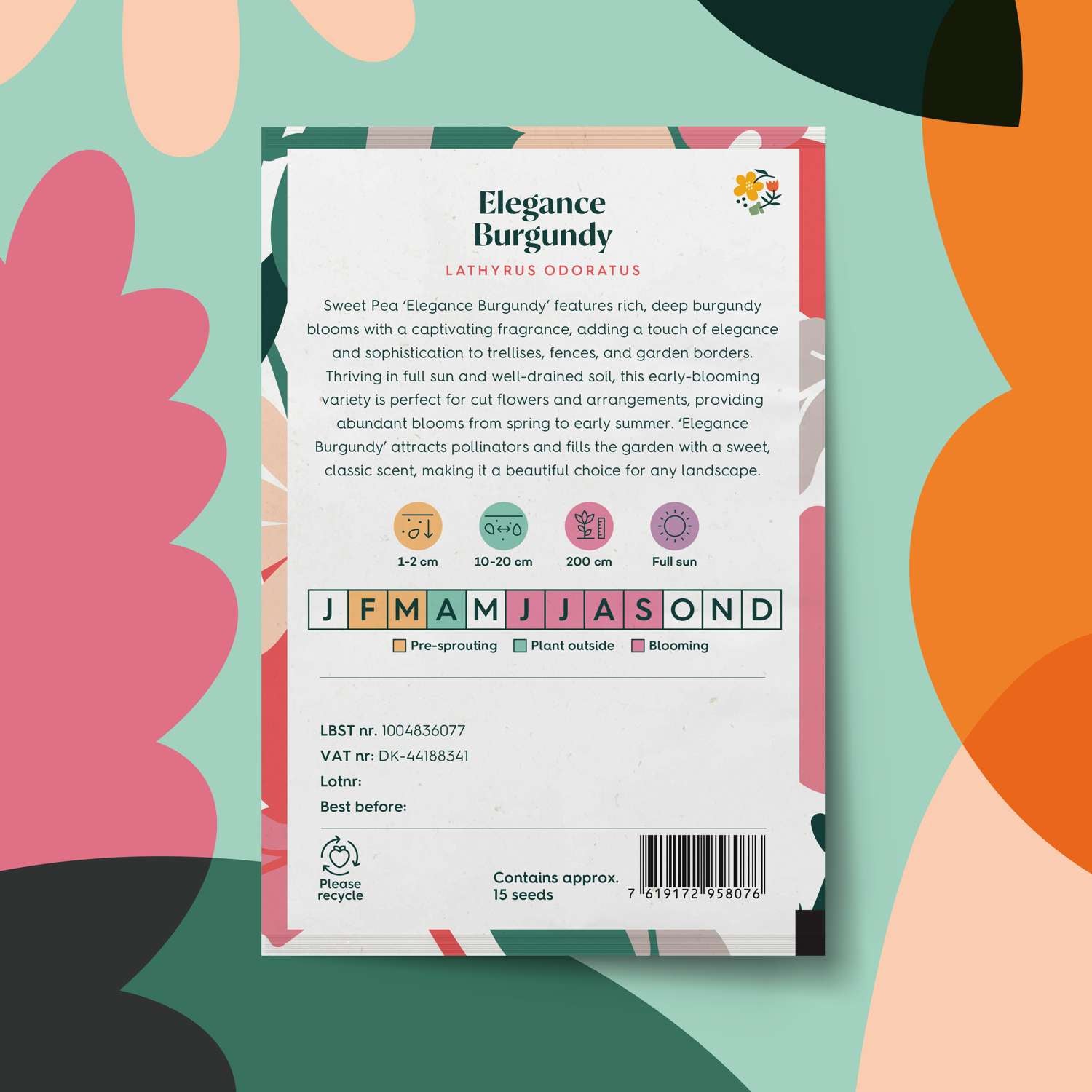 Pois de senteur 'Elegance Burgundy' (graines)