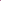 Jacinthe 'Pink Pearl'