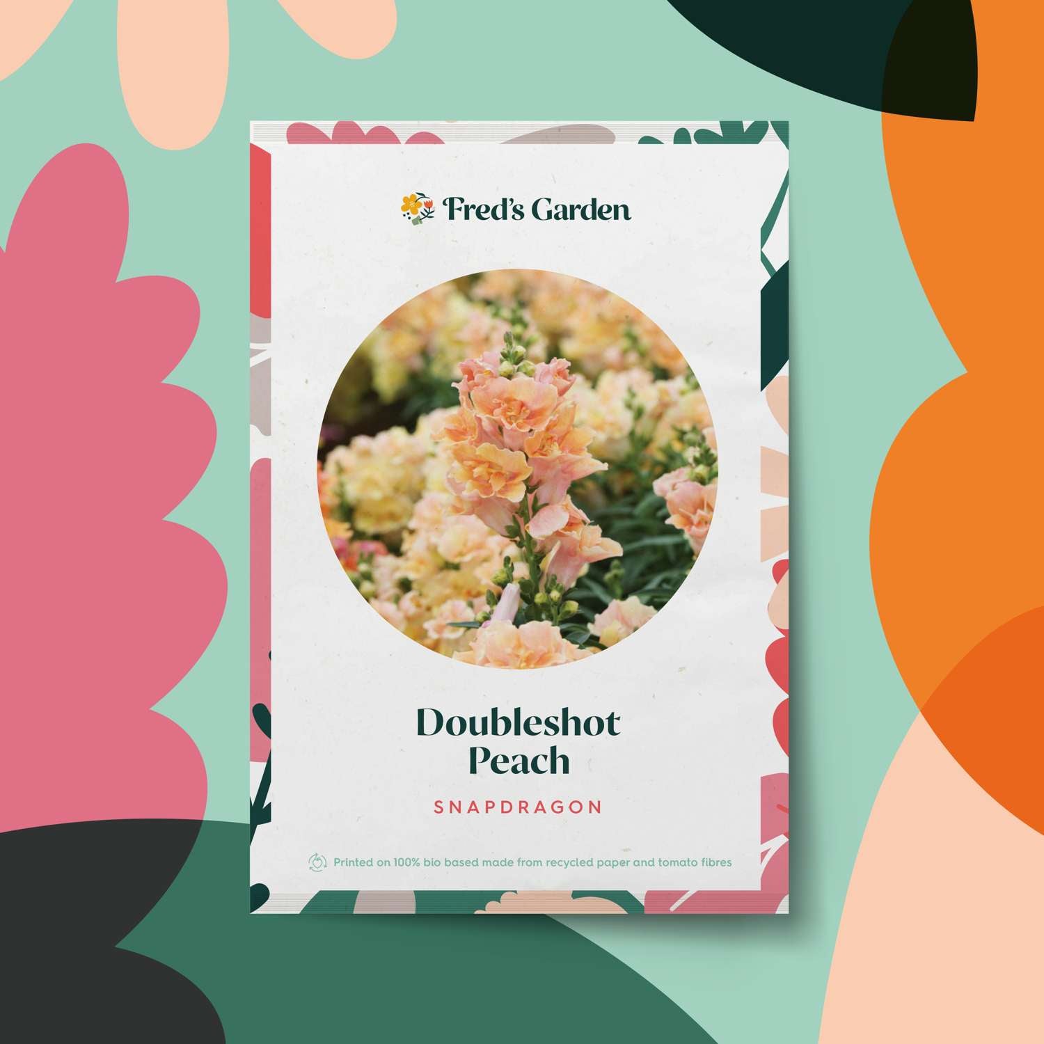 Muflier 'Doubleshot Peach' (graines)