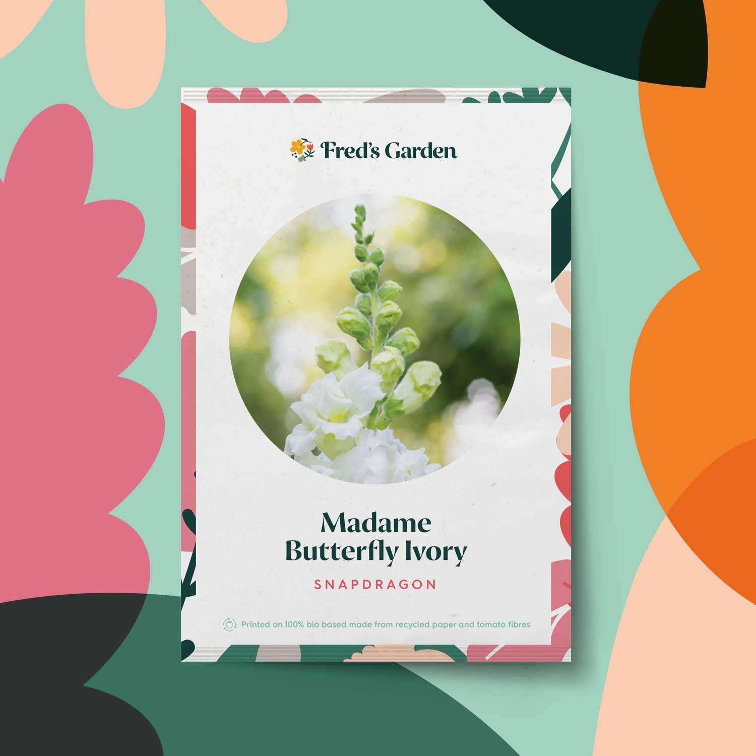 Muflier 'Madame Butterfly Ivory' (graines)