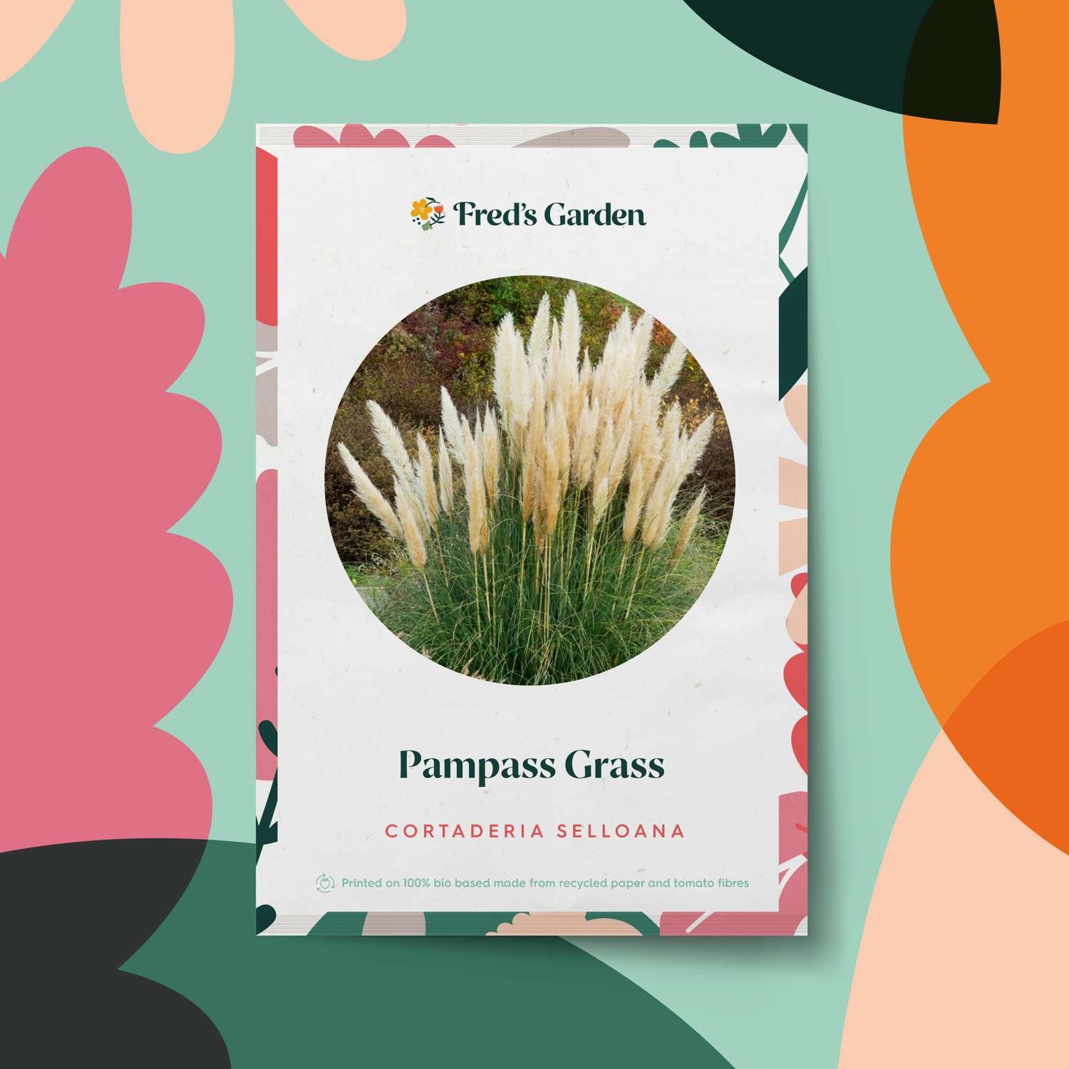 Herbe de la pampa (graines)