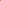Rosier 'Golden Celebration®' (Ausgold)
