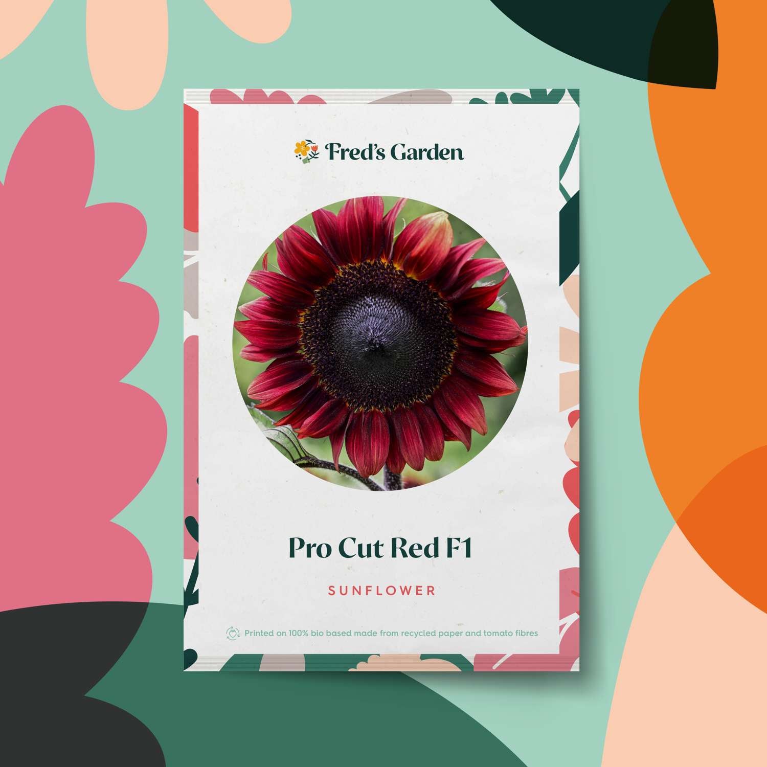 Tournesol 'Pro Cut Red F1' (graines)