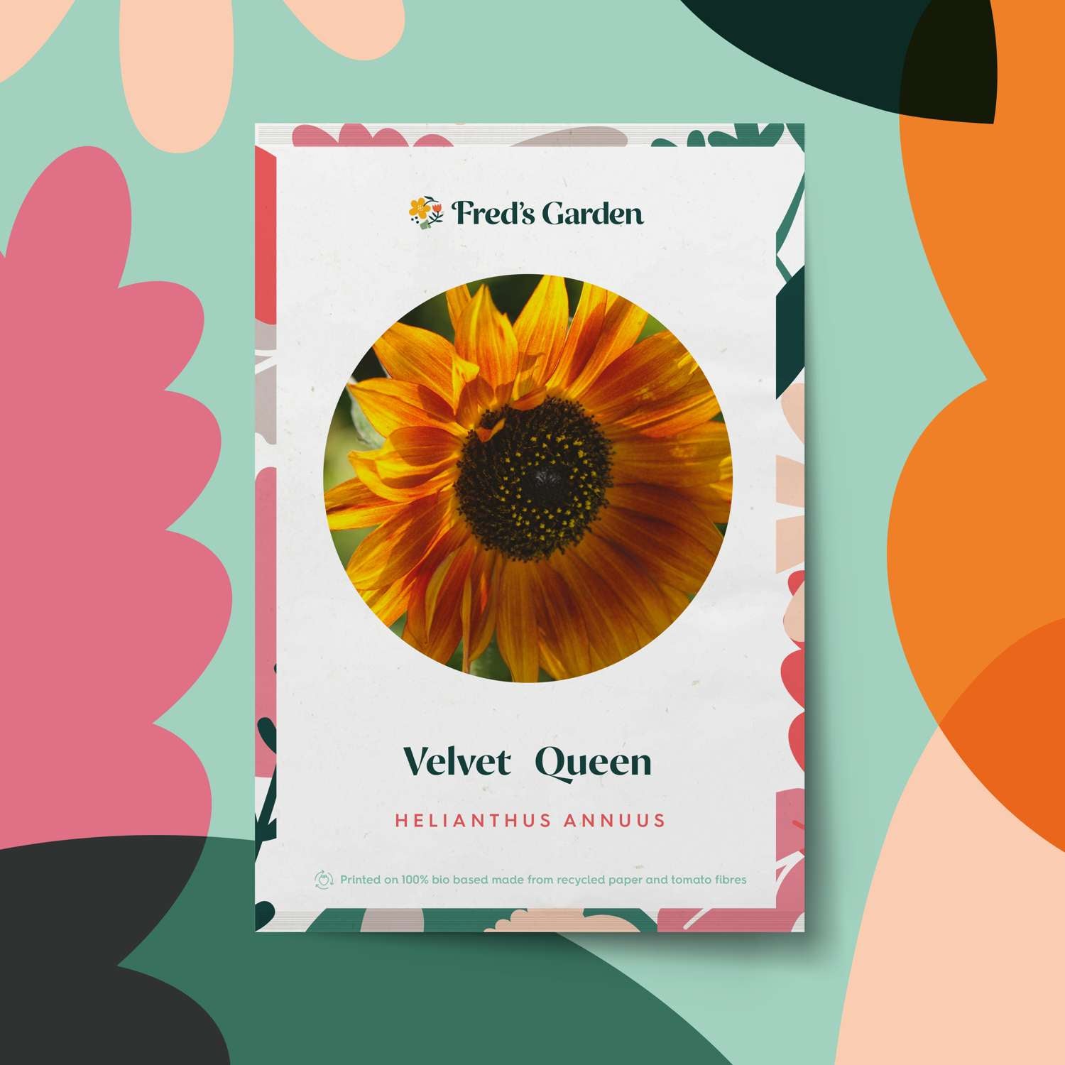 Tournesol 'Velvet Queen' (graines)