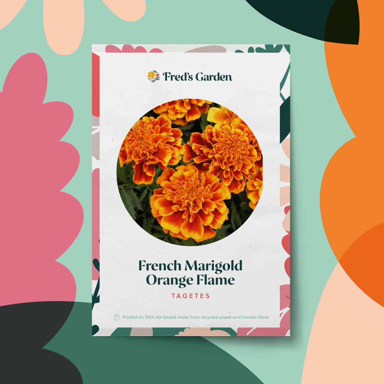 Tagetes 'French Marigold Orange Flame' (graines)