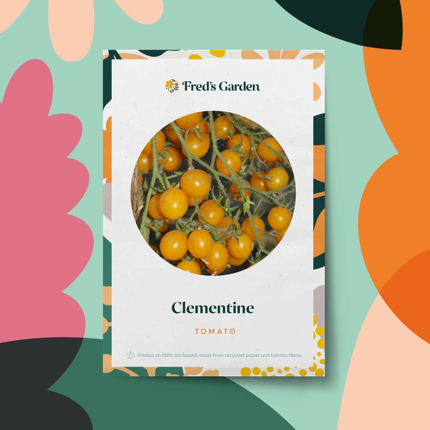 Tomate 'Clementine' (graines BIO)