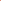 Mélange de renoncules 'Elegance Pastello Peach'